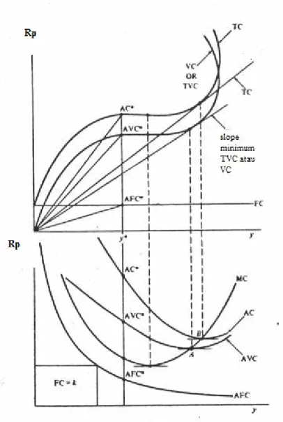 Gambar 4.2. Fungsi Biaya pada Sisi Output 