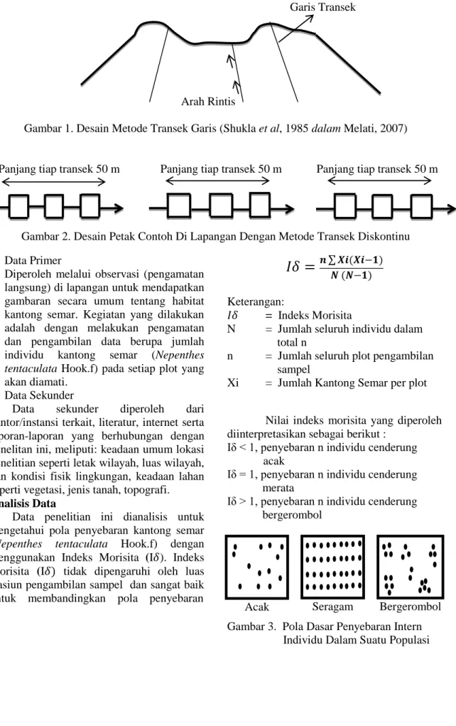 Gambar 1. Desain Metode Transek Garis (Shukla et al, 1985 dalam Melati, 2007) 