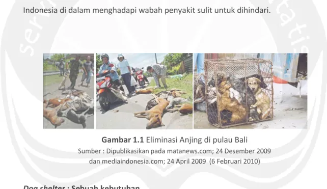 Gambar 1.1 Eliminasi Anjing di pulau Bali 