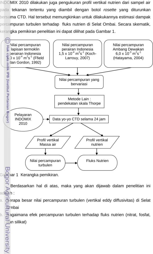 Gambar 1  Kerangka pemikiran. 