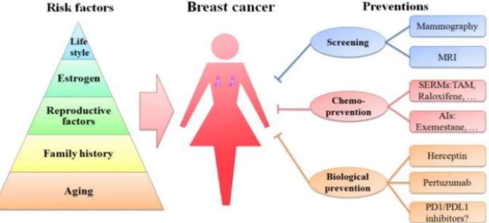 Gambar 2. Penyebab Kanker Payudara  (Sun et al, 2017) 