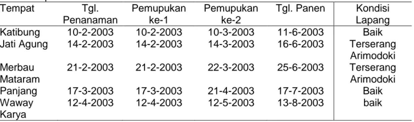 Tabel  1.  Waktu  penanaman,  pemupukan,  panen,  dan  kondisi  ubi  jalar  pada  5  tempat  penanaman