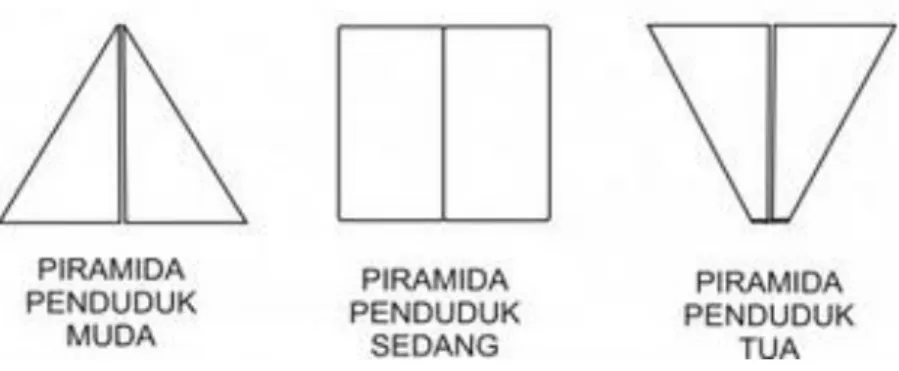 Gambar  42 Jenis-Jenis Piramida 