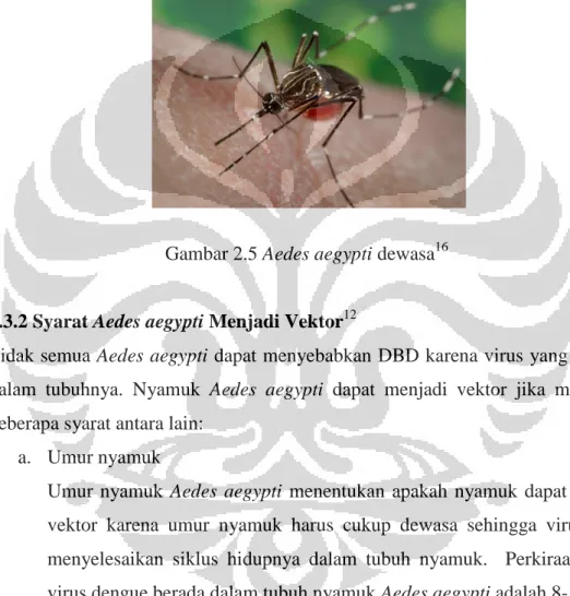 Gambar 2.5 Aedes aegypti dewasa 16