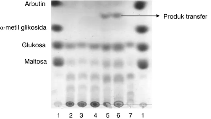 Gambar 4.  Hasil analisis KLT reaksi transglikosilasi dengan  substrat isomalto oligosakarida dan akseptor pirokatekol 