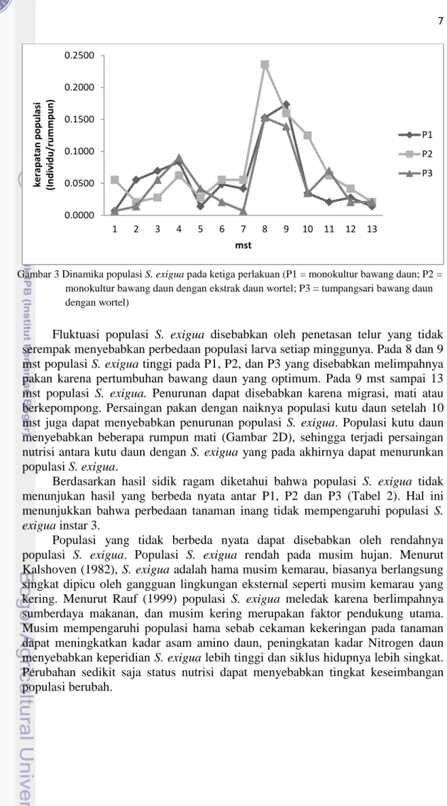 Gambar 3 Dinamika populasi S. exigua pada ketiga perlakuan (P1 = monokultur bawang daun; P2 =  monokultur bawang daun dengan ekstrak daun wortel; P3 = tumpangsari bawang daun  dengan wortel) 