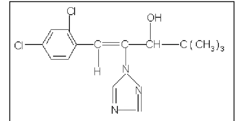 Gambar 4. Skema penghambatan sintesis giberelin oleh paclobutrazol (ICI 1984) 