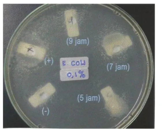 Gambar  2  Hasil  uji  aktivitas  antibakteri  yogurt  yang  difermentasi  dengan  bakteri  hasil  isolasi  dari  yogurt  komersial selama 5, 7 dan 9 jam terhadap (A) B