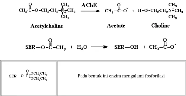 Gambar 2.2. Struktur kimia senyawa aktif dari pestisida golongan  organophosphate  25