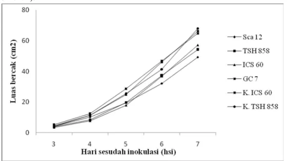 Gambar 4. Grafik rata-rata pertambahan luas bercak pada buah kakao akibat         infeksi jamur Phytophthora palmivora 3 hingga 7 hari sesudah          inokulasi (hsi)