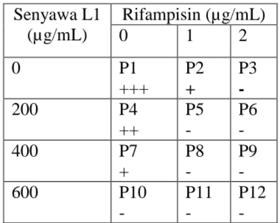 Tabel  4.  Pengaruh  penambahan  senyawa  L1  dikombinasikan  dengan  Rifampisin  terhadap  pertumbuhan   M