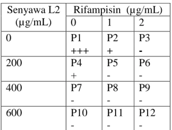 Tabel  5.  Pengaruh  penambahan  senyawa  L2  dikombinasikan  dengan  Rifampisin terhadap pertumbuhan  M
