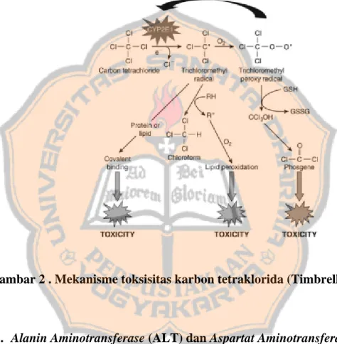 Gambar 2 . Mekanisme toksisitas karbon tetraklorida (Timbrell, 2009). 