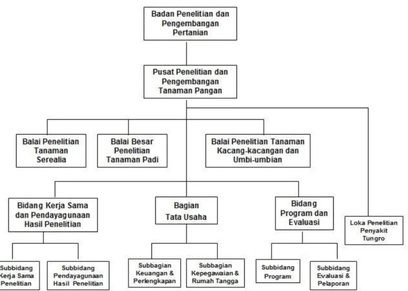 Gambar 1. Struktur organisasi Puslitbang Tanaman Pangan, 2011. 