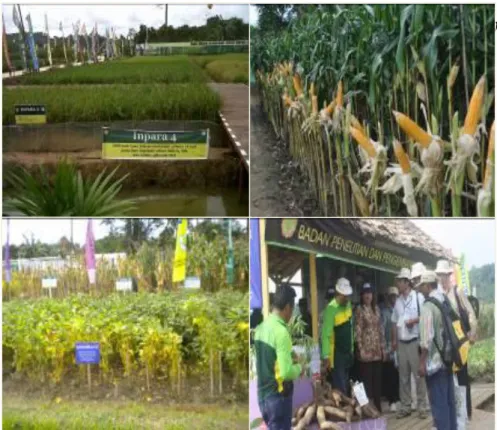 Gambar  20.  Menteri  Pertanian  berdiskusi  dengan  pemulia  jagung  saat kunjungan ke pameran indoor Penas XIII 