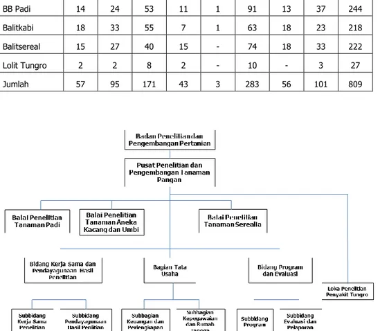 Gambar 1. Struktur organisasi Puslitbang Tanaman Pangan. 