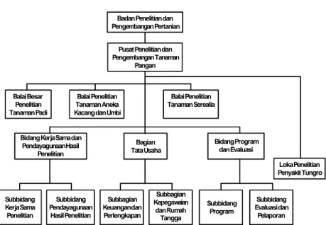 Gambar 1. Struktur Organisasi Puslitbang Tanaman Pangan.