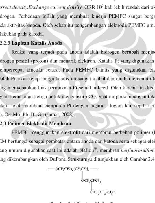 Gambar 2. 4 Struktur Nafion®