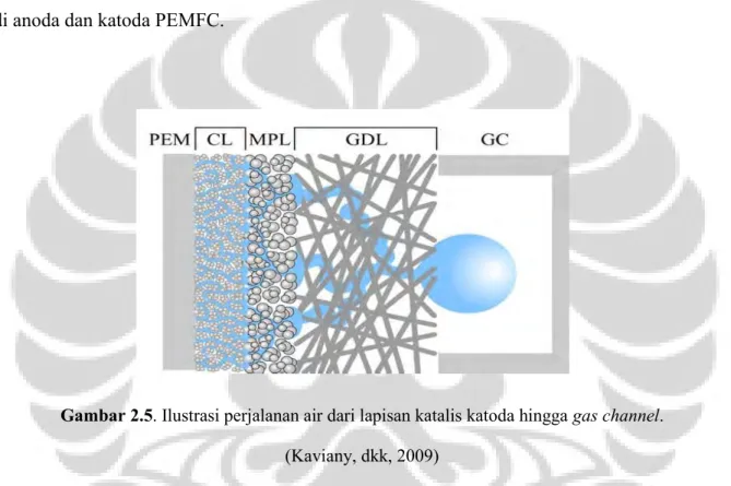 Gambar 2.5. Ilustrasi perjalanan air dari lapisan katalis katoda hingga gas channel. 