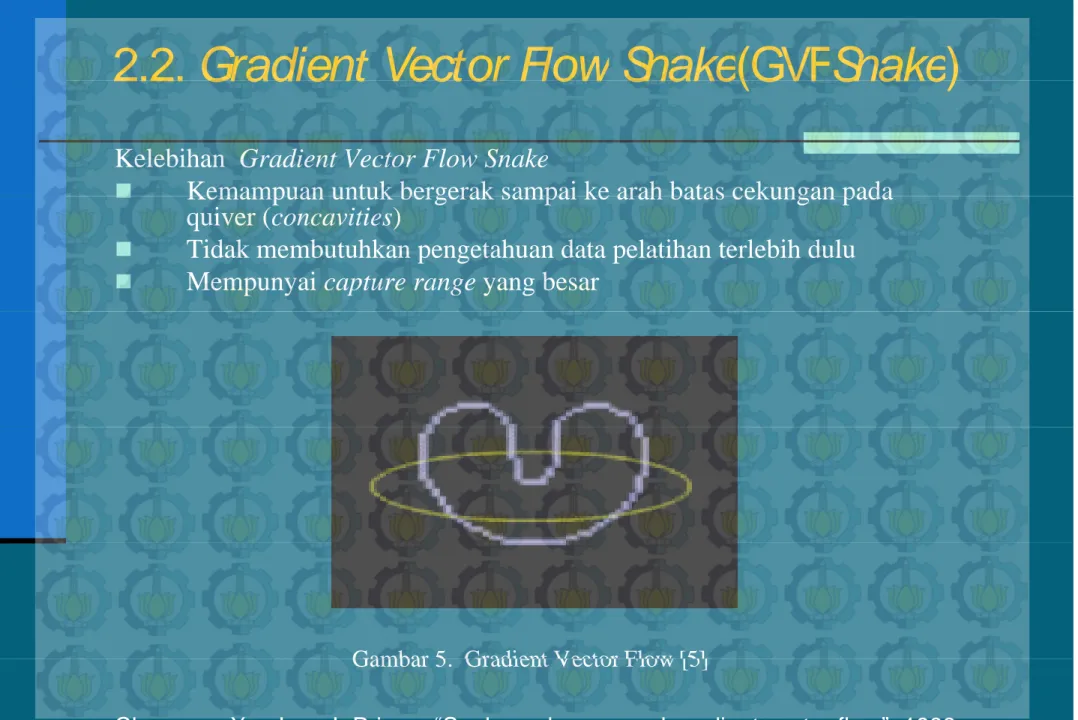 Gambar 5.  Gradient Vector Flow [5] 
