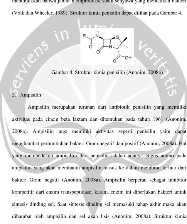 Gambar 4. Struktur kimia penisilin (Anonim, 2008b) 