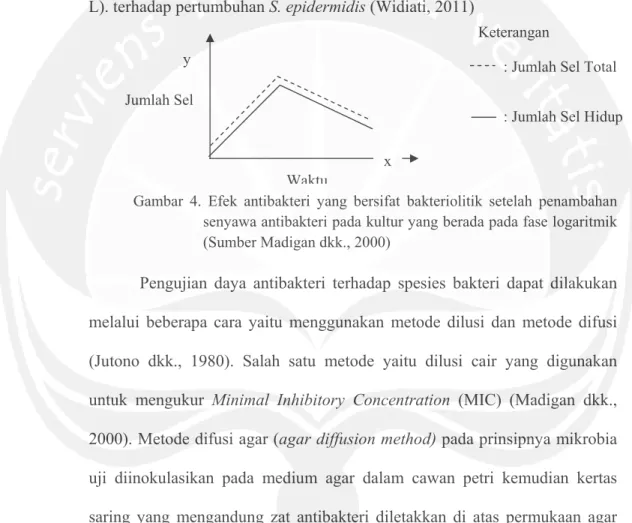 Gambar 4. Efek antibakteri yang bersifat bakteriolitik setelah penambahan  senyawa antibakteri pada kultur yang berada pada fase logaritmik  (Sumber Madigan dkk., 2000) 