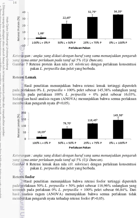 Gambar 7 Retensi protein ikan nila (O. niloticus) dengan perlakuan konsentrasi 