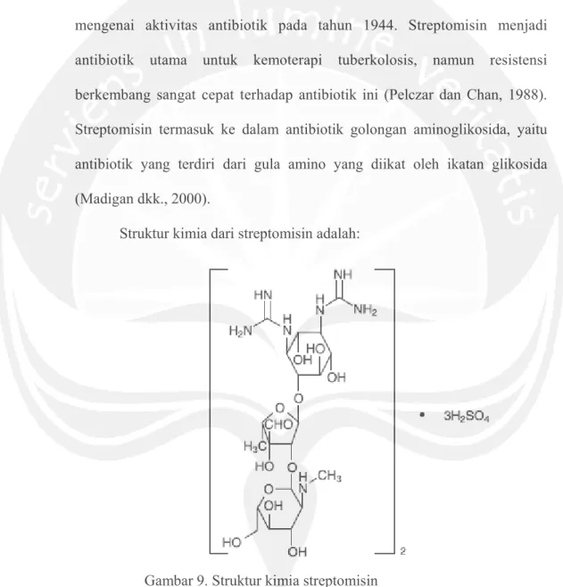 Gambar 9. Struktur kimia streptomisin          (Sumber: Anonim, 2008b) 