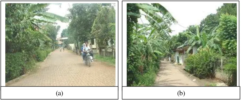 Gambar 17 Kondisi Fisik Jalan ,(a)  Cone Block (kiri) dan (b) Jalan Cor Semen           