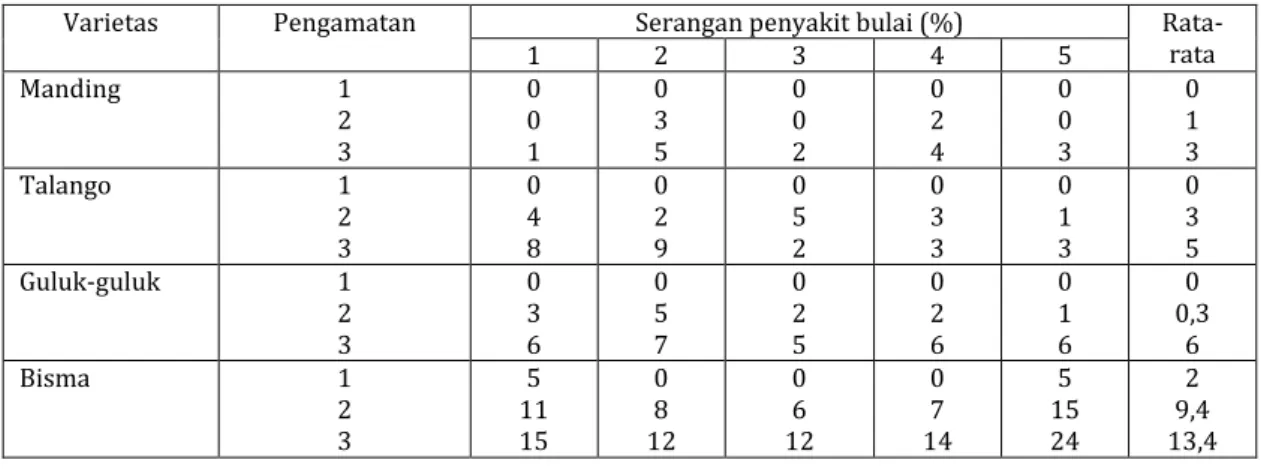 Tabel 7.  Hasil pengamatan ketahanan terhadap penyakit bulai di Screen House BPTP Jawa  Timur, 2007