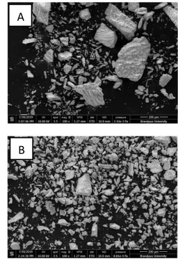 Gambar  1.  Gambar  Hasil  FESEM  hidroksiapatit  pembanding  (A)  dan  hidroksiapatit  dari  tulang  ikan cakalang (B) pembesaran 100x 