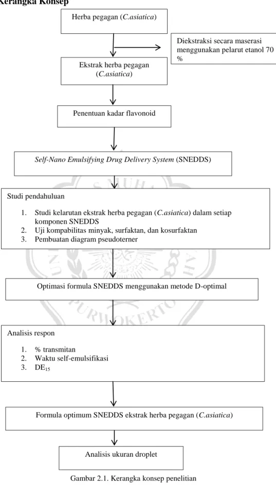 Gambar 2.1. Kerangka konsep penelitian Herba pegagan (C.asiatica) 