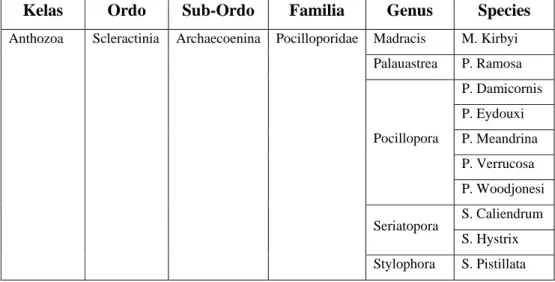 Tabel 1 Sistematika karang (Veron 1986) 
