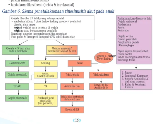 Gambar 6. Skema penatalaksanaan rinosinusitis akut pada anak