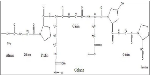 Gambar 3. Rumus Struktur Gelatin (Chaplin, 2006) 