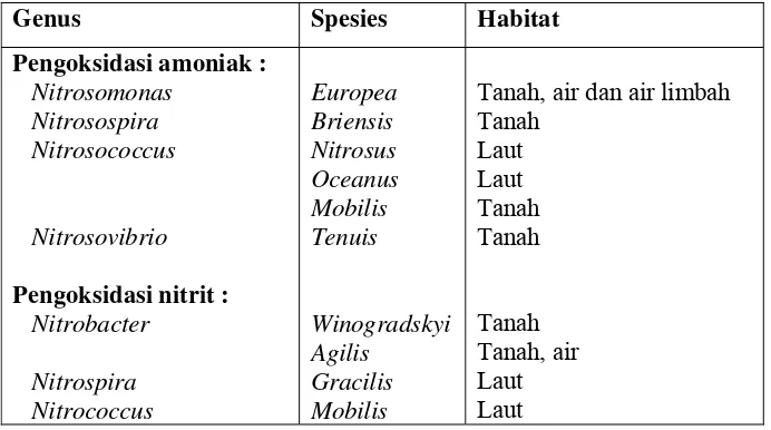 Tabel 2. Daftar bakteri pengoksidasi senyawaan nitrogen 
