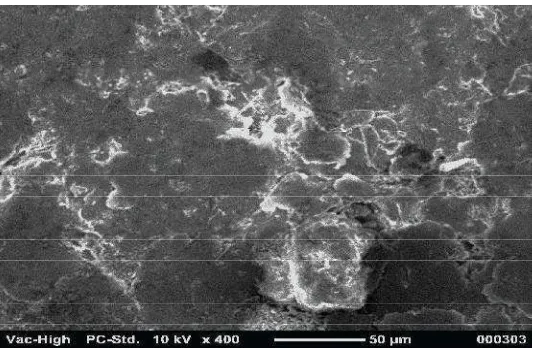 Gambar  4  Foto SEM mikrostruktur permukaan komposit dengan pembesaran 400x,paduan 30% dari (30wt% SiCw+0wt% Al2O3p) penguat dalam  aluminum matrix 70 wt%.