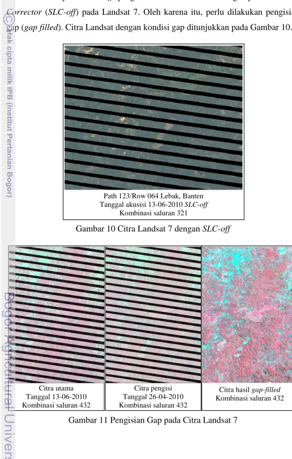 Gambar 10 Citra Landsat 7 dengan SLC-off 