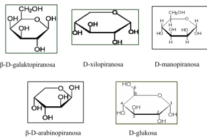 Gambar 4. Struktur Molekul Monosakarida Penyusun Hemiselulosa    (Sjostrom, 1995). 