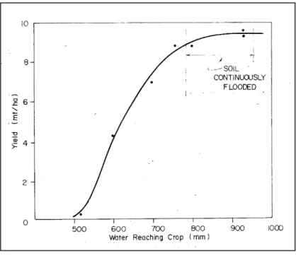 Gambar 4. Hasil padi IR-8  sebagai fungsi jumlah air yang  digunakan 