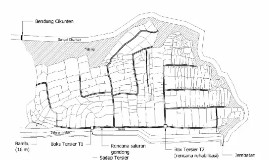 Gambar 8.  Sketsa  jaringan  irigasi dan  drainase di  petak tersier  BCMA-5 DI  Ciramajaya 