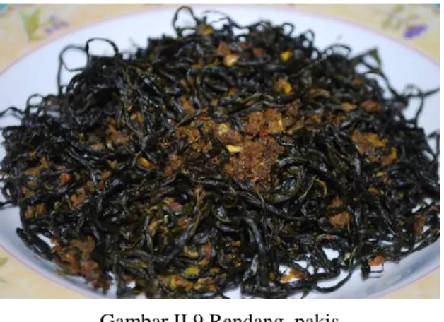 Gambar II.9 Rendang  pakis 