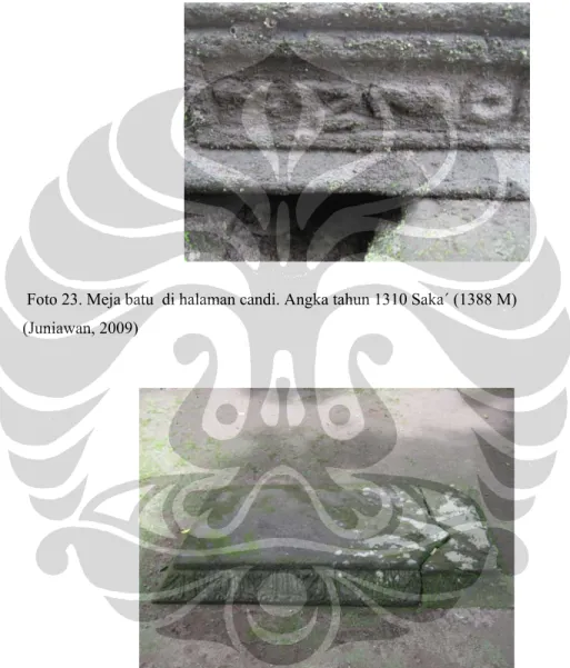 Foto 24. Batu diduga bagian Atas dari Altar Persajian di Sisi Belakang atau Timur candi    (Taofik Hidayat, 2009)
