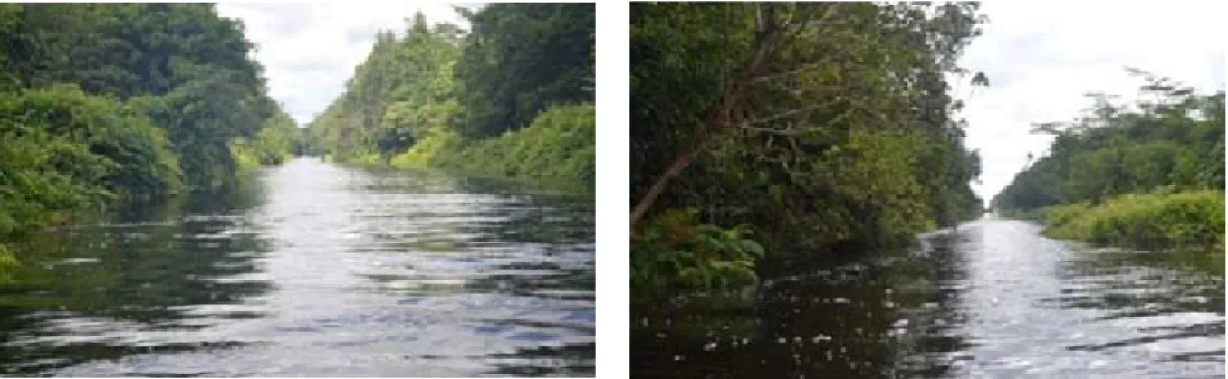 Gambar 9. Kondisi Kanal pada saat Musim Hujan di Desa Sei Ahas