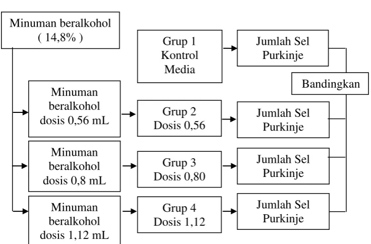 Gambar 2. Kerangka Konsep 