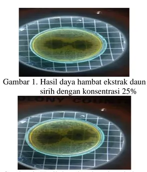 Gambar 2. Hasil daya hambat ekstrak daun  sirih dengan konsentrasi 50% 