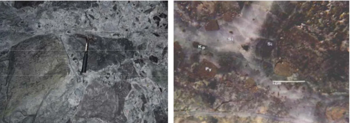 Gambar 3.2. Memperlihatkan kenampakan breksi hidrotermal. Foto kiri, kenampakan breksi  hidrotermal pada endapan skarn Big Gossan