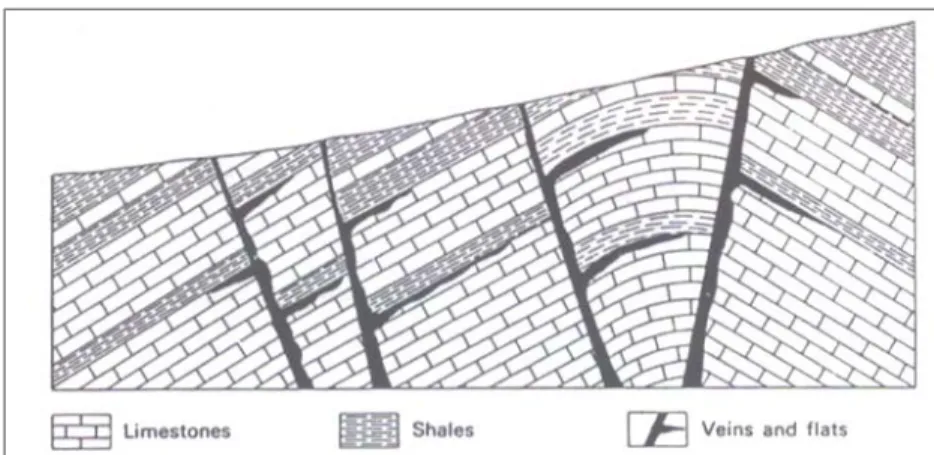 Gambar 3.5. Memperlihatkan tubuh bijih diskordan, yang dikontrol  oleh stratigrafi dan struktur geologi (dari Evans, 1993)