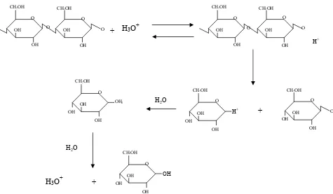 Gambar 3. Mekanisme reaksi hidrolisis asam (Humprey, 1979) 