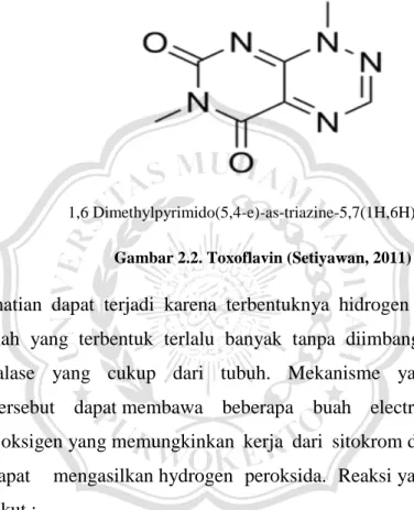 Gambar 2.2. Toxoflavin (Setiyawan, 2011) 